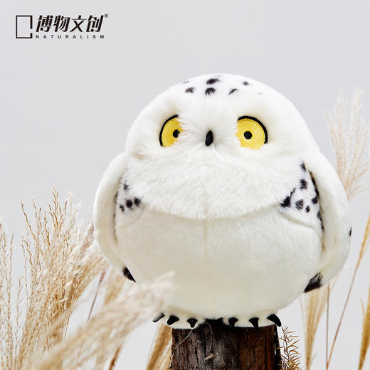 博物文创 大圆宝系列合集 兔狲雪鸮双髻鲨跳岩企鹅羚牛北极兔树麻雀虎鲸北极狐鸮鹦鹉大红鹳 商品图1