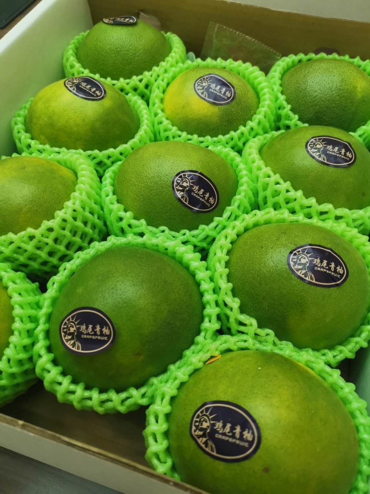 【地球生活&甄选】江西万安鸡尾青柚