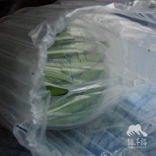 有机西瓜（预售） | 绿家自产* Organic  water melon | Self-production 商品图1