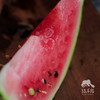 有机西瓜（预售） | 绿家自产* Organic  water melon | Self-production 商品缩略图2
