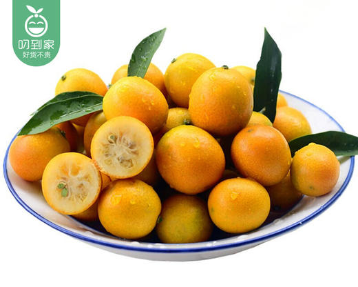 广西桂林金桔（大果）/1份（500g±20g） 商品图4