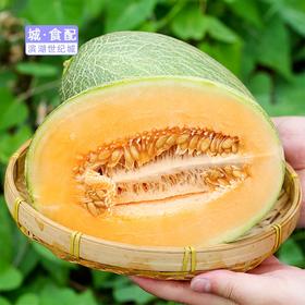 【BH】【JZ】【城·食配】海南蜜瓜（约3-4斤）