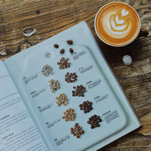 世界咖啡地图（第2版） 修订第二版 詹姆斯霍夫曼 著 咖啡圣经 咖啡迷想收藏的指南 咖啡豆 咖啡基础 虹吸壶 中信出版社图书 正版 商品图3