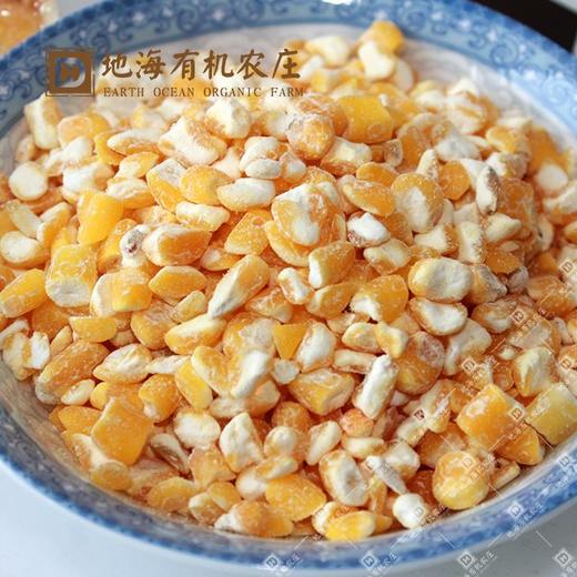 丨有机丨玉米碴250g*4盒  地海农场 商品图1