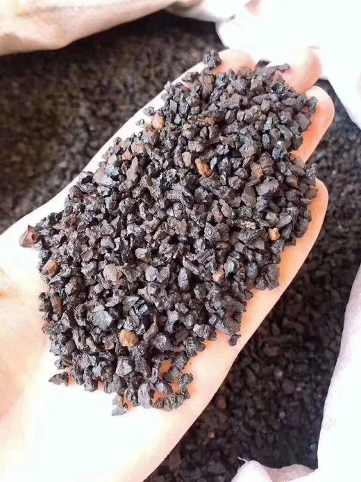 长白山野生桦树茸桦褐孔菌白桦茸精品黑晶