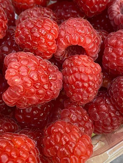 周六取货：【怡颗莓红树莓】一盒125克，蕴藏丰富的营养元素！ 商品图1