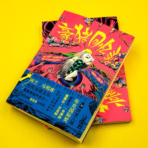 豪猪回忆录Mémoires de porc-épic 商品图0