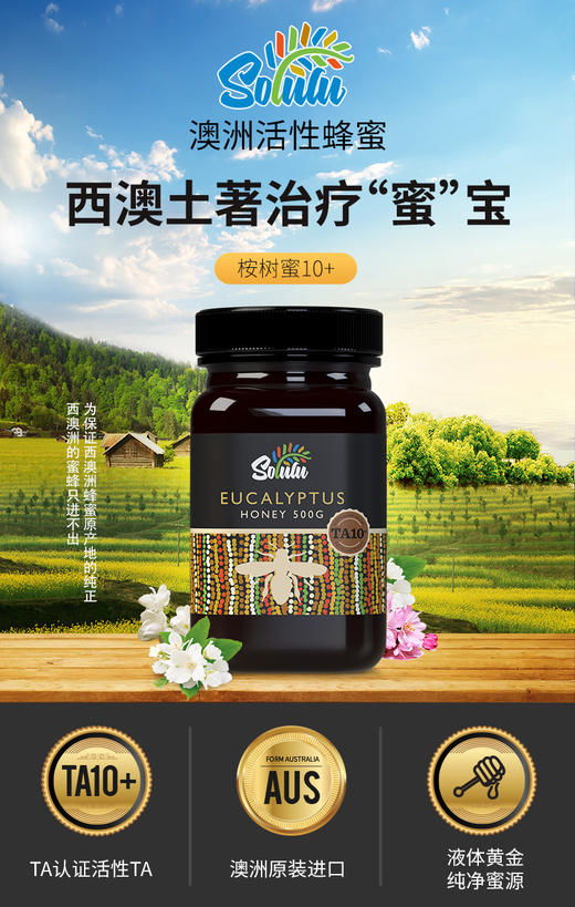 Solulu桉树蜂蜜 TA10+  500g 商品图0