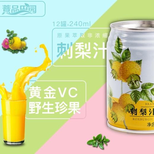 薏品田园刺梨汁礼盒装240ml 1*12/提 商品图6