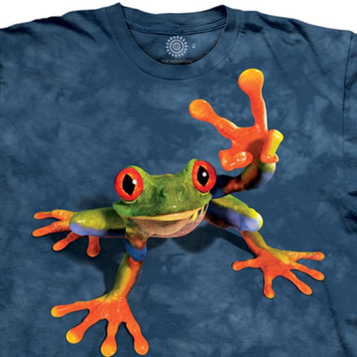 贝林自然世界美国授权正品The Mountain儿童款胜利之蛙T恤100%棉 商品图1