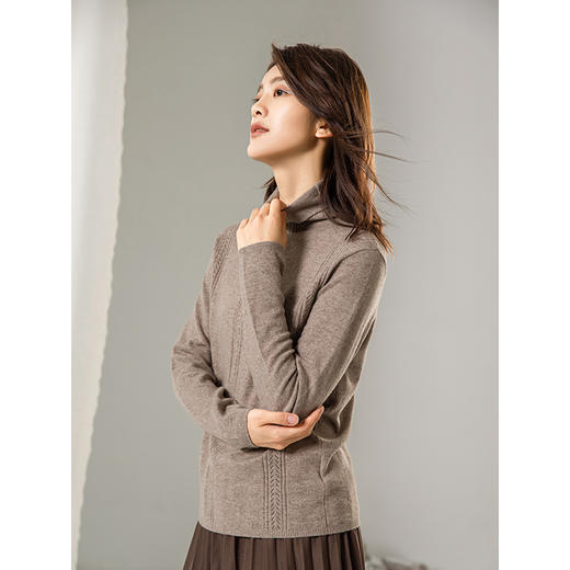 famecoco范可儿针织衫秋冬高领毛衣F208DB028 商品图1