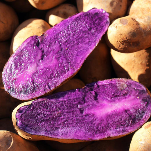 【1月26日下午1点截单】云南高原紫土豆 4.5-5斤装 商品图0