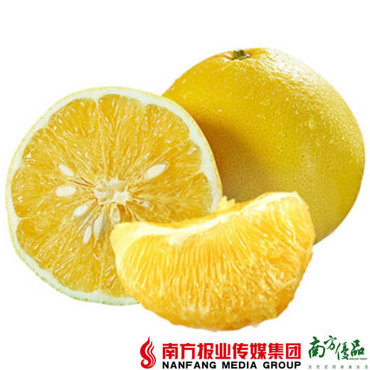 【珠三角包邮】农匠 葡萄柚子 5斤±3两/箱（次日到货） 商品图2