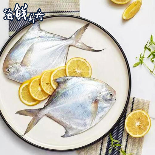 【野生】超低温 小号/中号 白鲳 商品图3