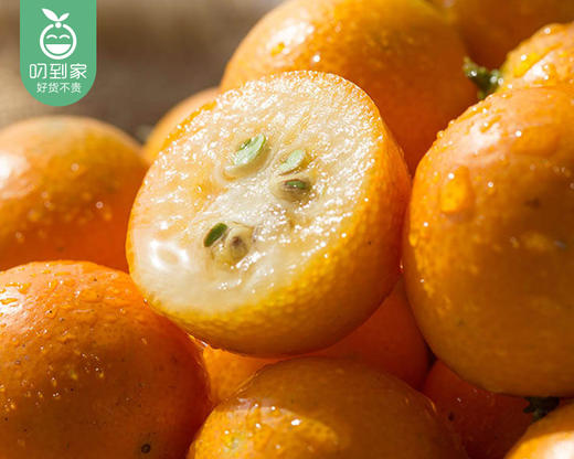 广西桂林金桔（大果）/1份（500g±20g） 商品图1