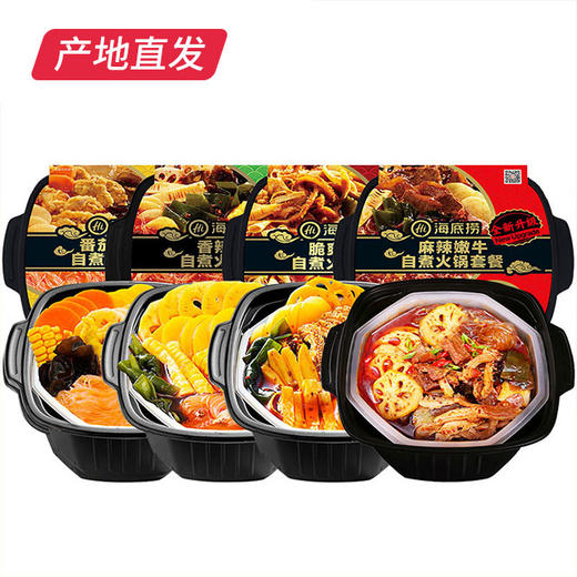 【海底捞】方便自煮小火锅4盒装产地直发 商品图1