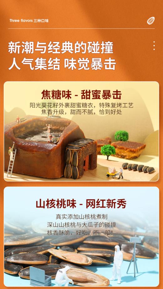 【BC】【DN】瓜子 800g/份 商品图1