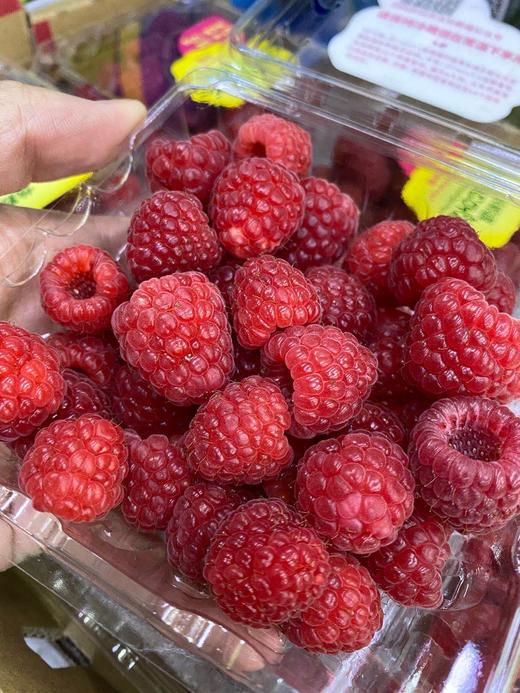 周六取货：【怡颗莓红树莓】一盒125克，蕴藏丰富的营养元素！ 商品图0