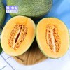 【BH】【JZ】【城·食配】海南蜜瓜（约3-4斤） 商品缩略图1