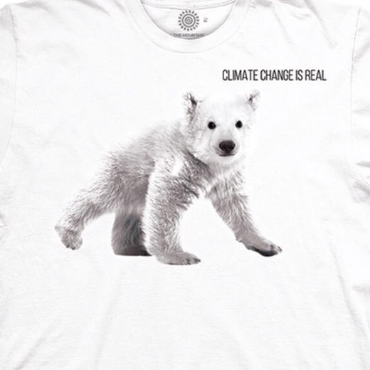 美国授权正品The Mountain儿童款保护北极熊崽图案3DT恤100%棉 商品图1