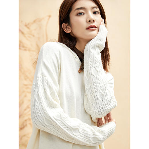 famecoco范可儿宽松韩系毛衣女秋冬外穿套头连帽针织衫F208DB025 商品图1