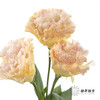 洋桔梗 | 香槟 商品缩略图1
