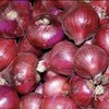 洋葱每公斤 商品缩略图0