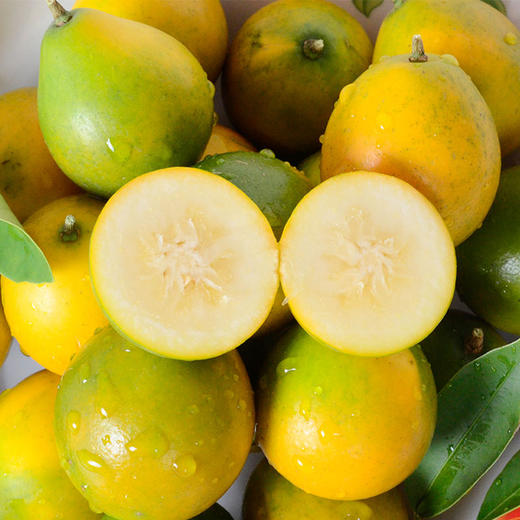 【广西融安滑皮金桔】 现摘现发 脆甜可口 带皮即食 2斤装/4斤装 商品图0