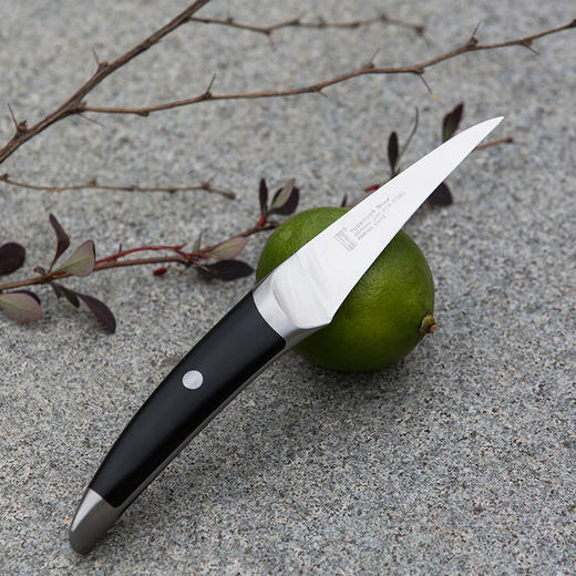 拓 海鸥水果刀家用不锈钢瓜果刀削皮刀厨房刀具德国进口钢小刀果蔬刀 商品图3