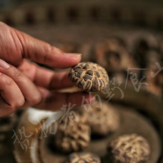 【花菇】野生环境里的花菇更美味 商品图0