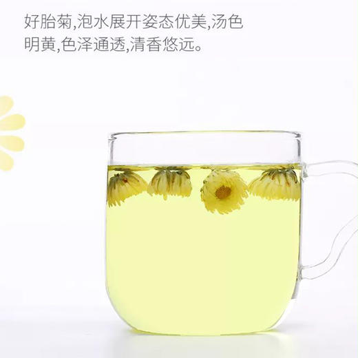 正宗桐乡头采胎菊王 85g杭白菊 商品图3