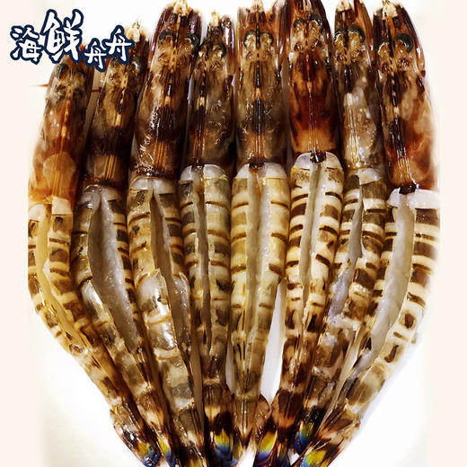 【野生】超低温  九节虾 商品图3