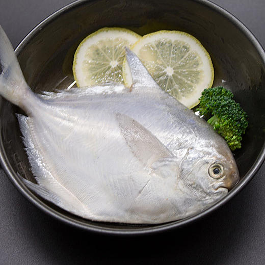 【冰鲜送达】银鲳鱼 眼睛清澈 炯炯有神 清澈的眼睛证明我们足够新鲜