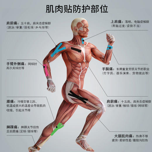 积分兑换：AQ 肌肉贴 商品图2