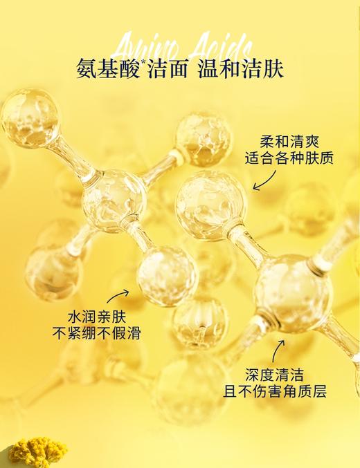 【欧舒丹】B1F欧舒丹腊菊香精粹活颜洁面泡沫150ml 商品图2