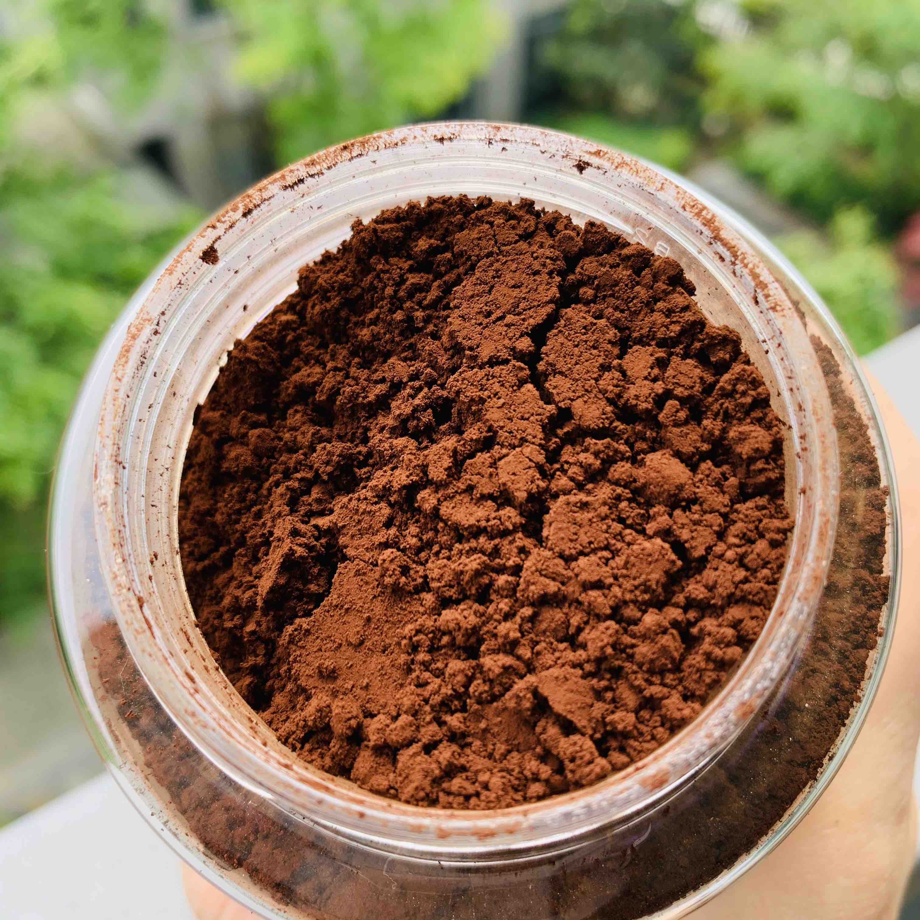 破壁灵芝孢子粉（头道）250g