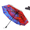 华政|艺术晴雨伞 商品缩略图9