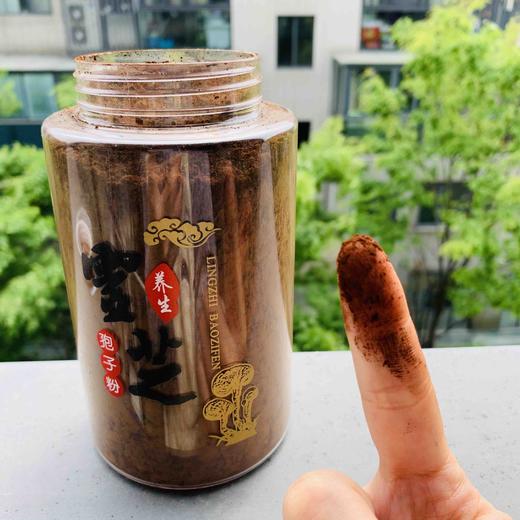破壁灵芝孢子粉（头道）250g 商品图2