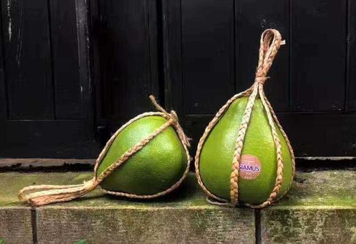 进口严选泰国青柚 商品图4