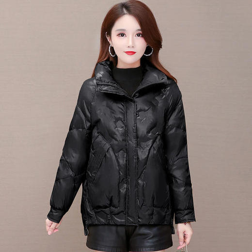 YWE-20W11白鸭绒气质时尚短款轻薄保暖羽绒服 商品图1