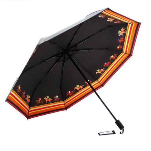 华政|艺术晴雨伞 商品图4