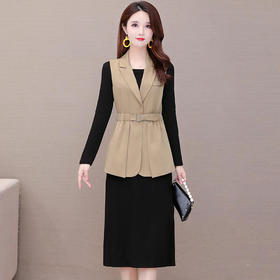 YW-YJY-Q8856时尚修身气质减龄马甲外套长袖连衣裙两件套