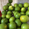 福建青皮葡萄柚    4.5-5斤 /   8-8.5斤装 商品缩略图7