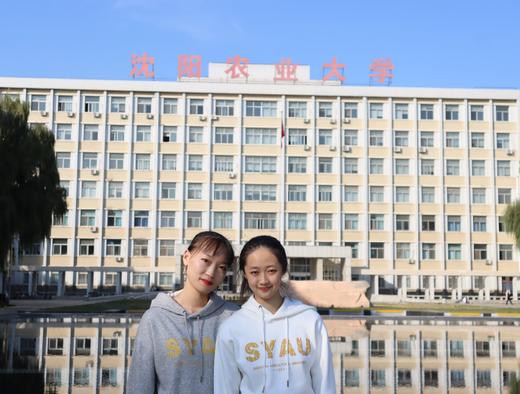 SYAU烫金卫衣 卫衣 商品图4