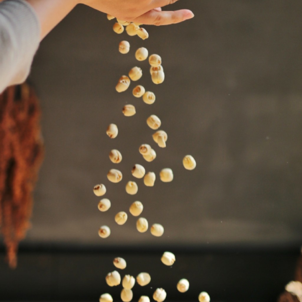 【天然白莲子】（250g) 2025年9最新 来自深山里的荷塘