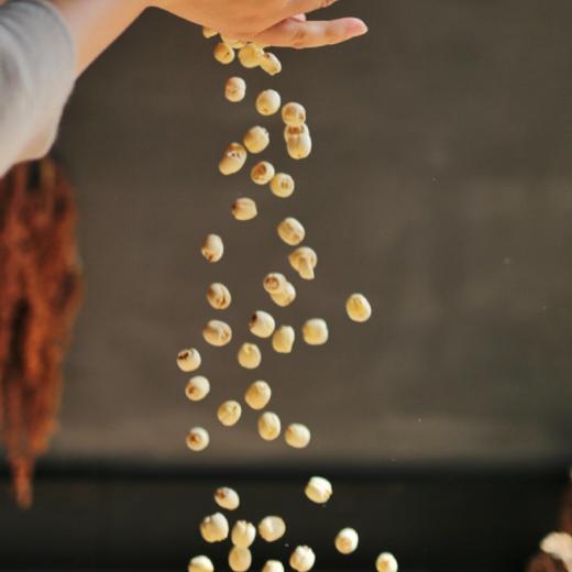 【天然白莲子】（250g) 2025年9最新 来自深山里的荷塘 商品图0