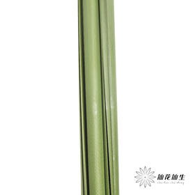 叶材 | 水竹【默认剪短发出】