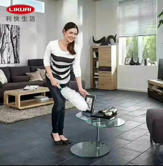 8F  LIKUAI利快除尘掸 商品图4