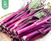 湖北霜打新鲜红菜苔/1份（约350g） 商品缩略图1