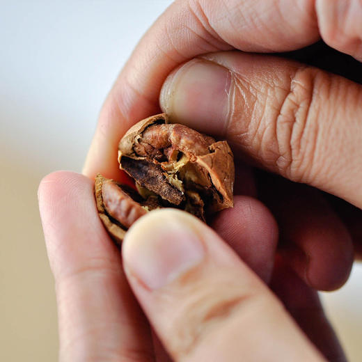 【2025新货！特好剥山核桃】今年产区好原料难求，精选好原籽，坚持轻加工-原香味，还原山核桃本味。238克袋装，水煮、奶油、椒盐味，全场满88元顺丰包邮~ 商品图3